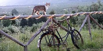 Pensjonat Eleonas 4*