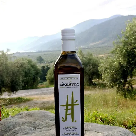 Eleonas Pensjonat 4*