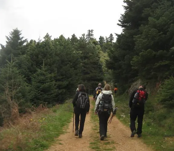 Eleonas Πανσιόν 4*